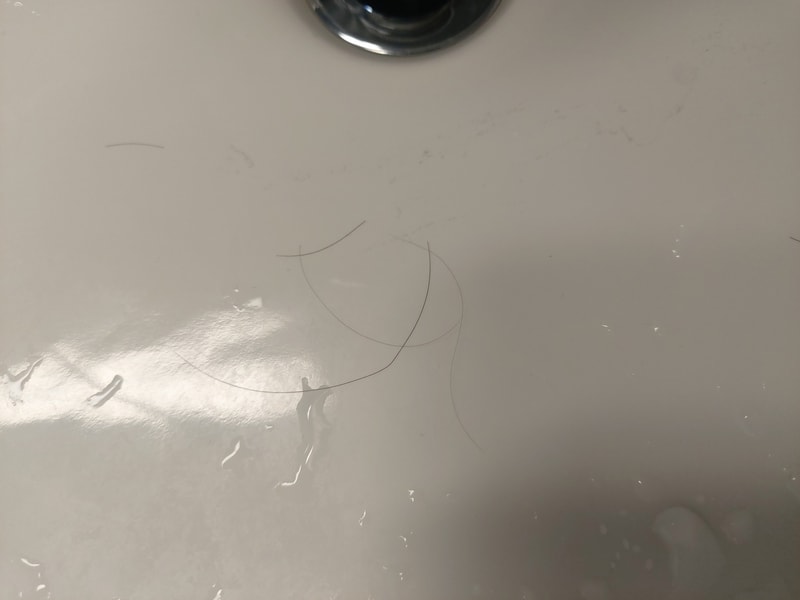 20241123_115509.jpg
