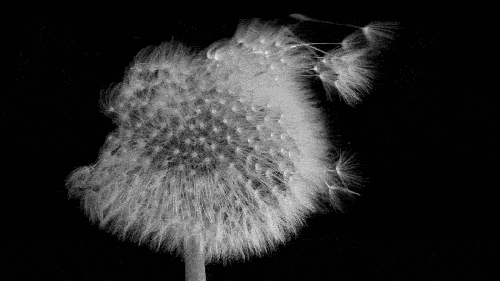 20170811170838_ipuiplvb.gif