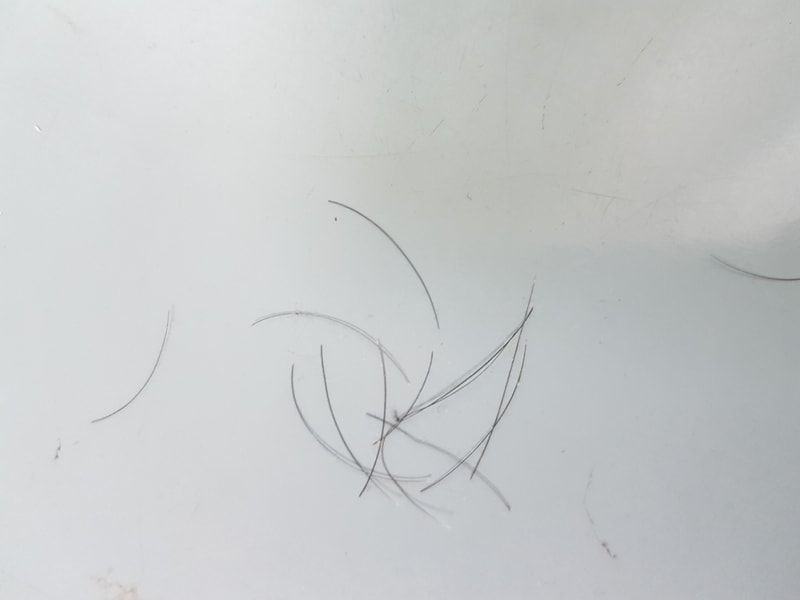 20190713_175024.jpg