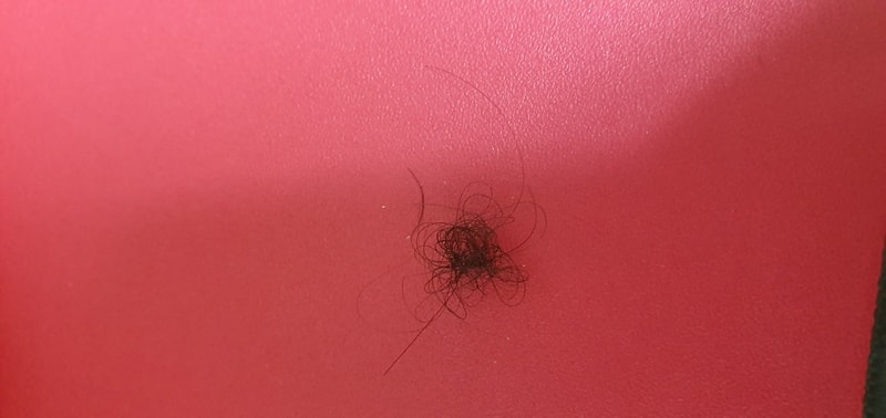 20190905_210149.jpg