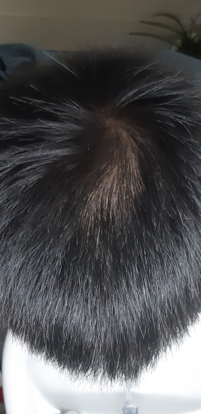 Screenshot_20191113-150141_Gallery.jpg