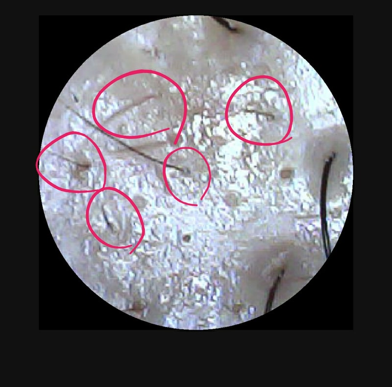 1657701233199-2.jpg