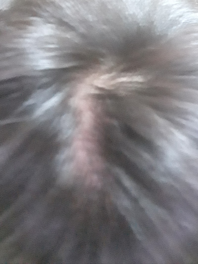 20210219_211855.jpg