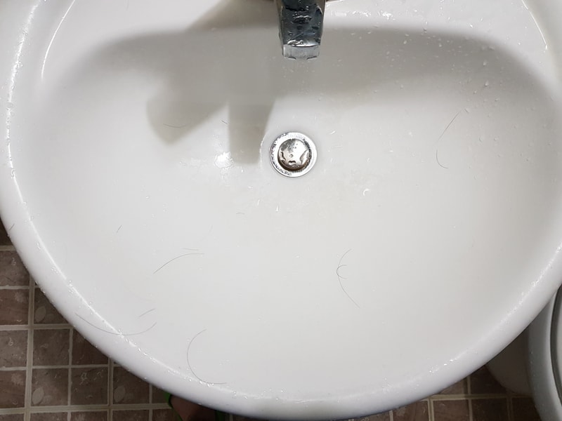 20221108_195242.jpg
