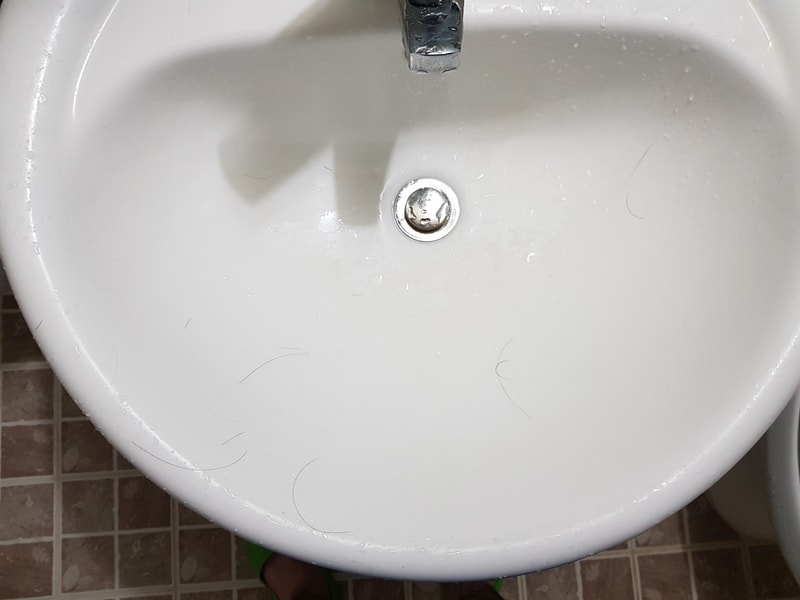 20221108_195301.jpg