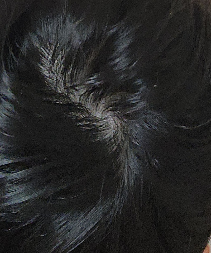 20240307_001236.jpg