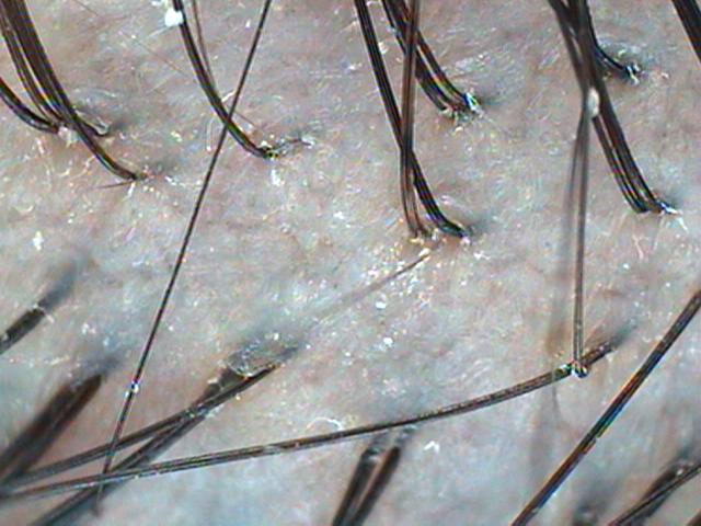 220509_1.jpg