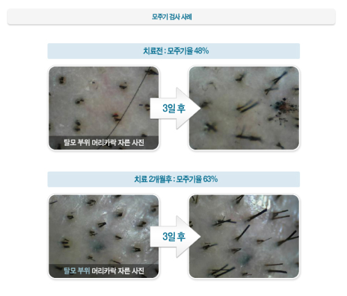 20110829000215_1.jpg