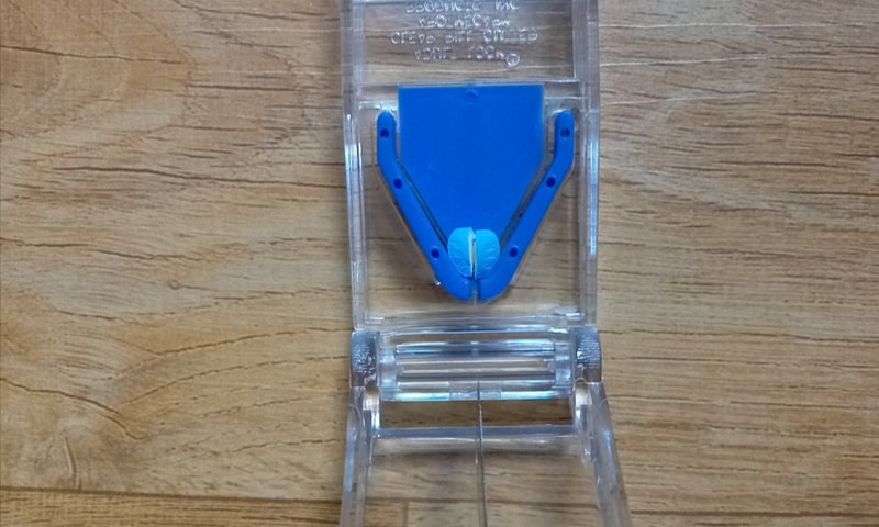 CAM00198.jpg