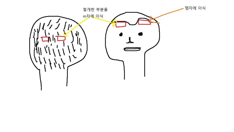 제목 없음.jpg