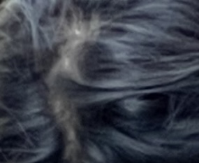 IMG_5975.jpeg