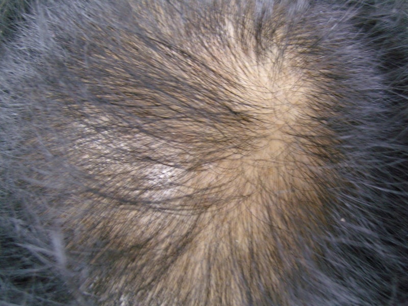 SNC10305.JPG