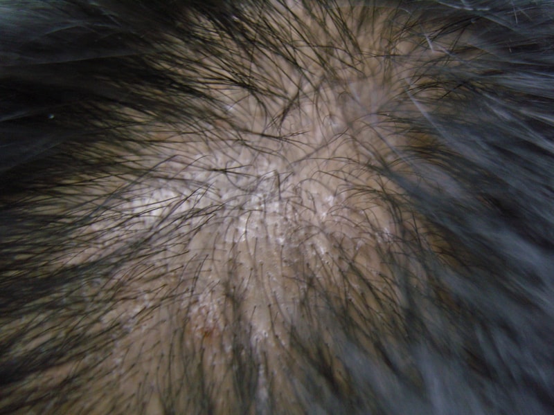 SNC10289.JPG