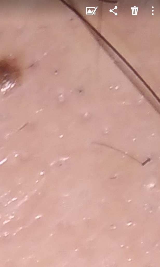 Screenshot_20190313-230728.png