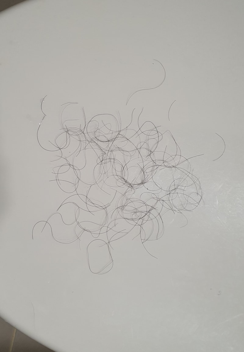 20220615_155548.jpg