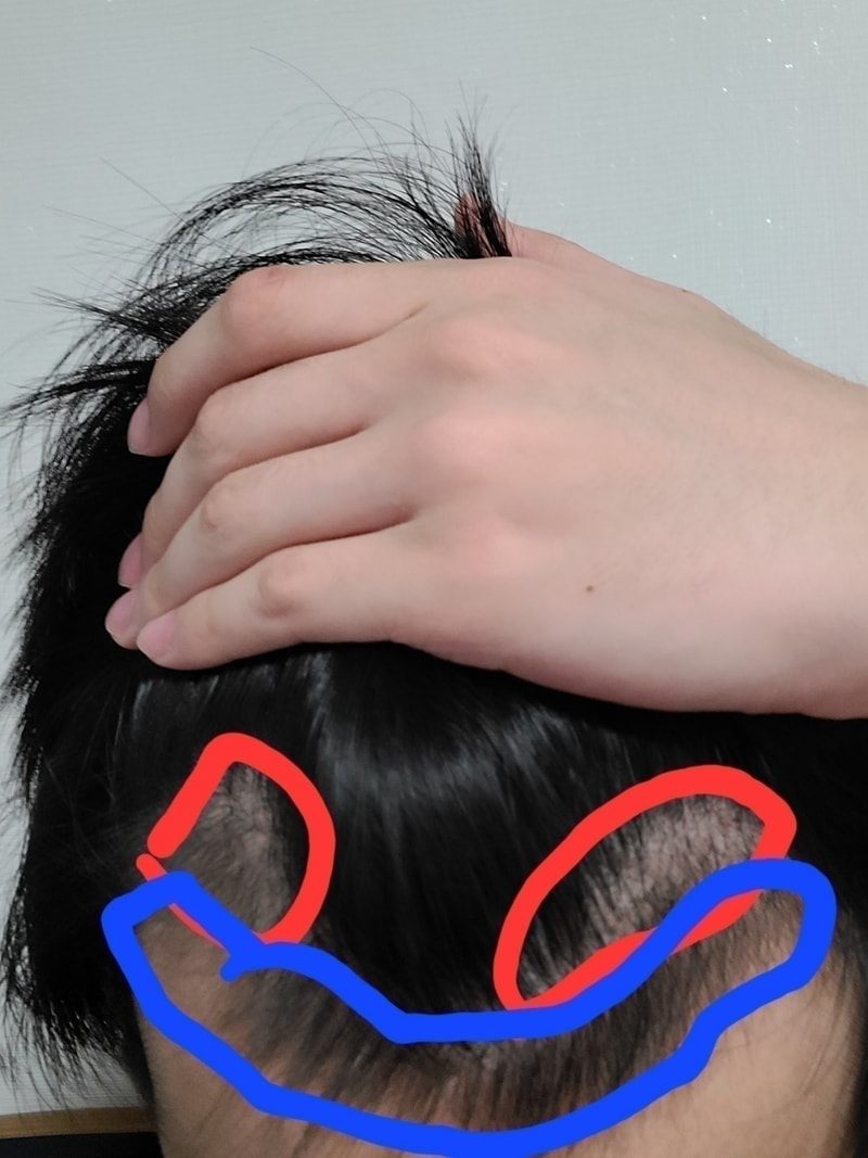 20240531_002334.jpg