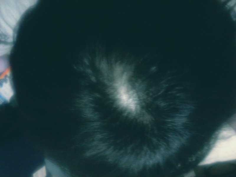 20131226013801765.jpg