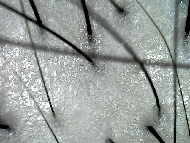 WIN_20210127_17_13_11_Pro.jpg
