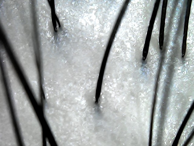 WIN_20210314_00_08_12_Pro.jpg