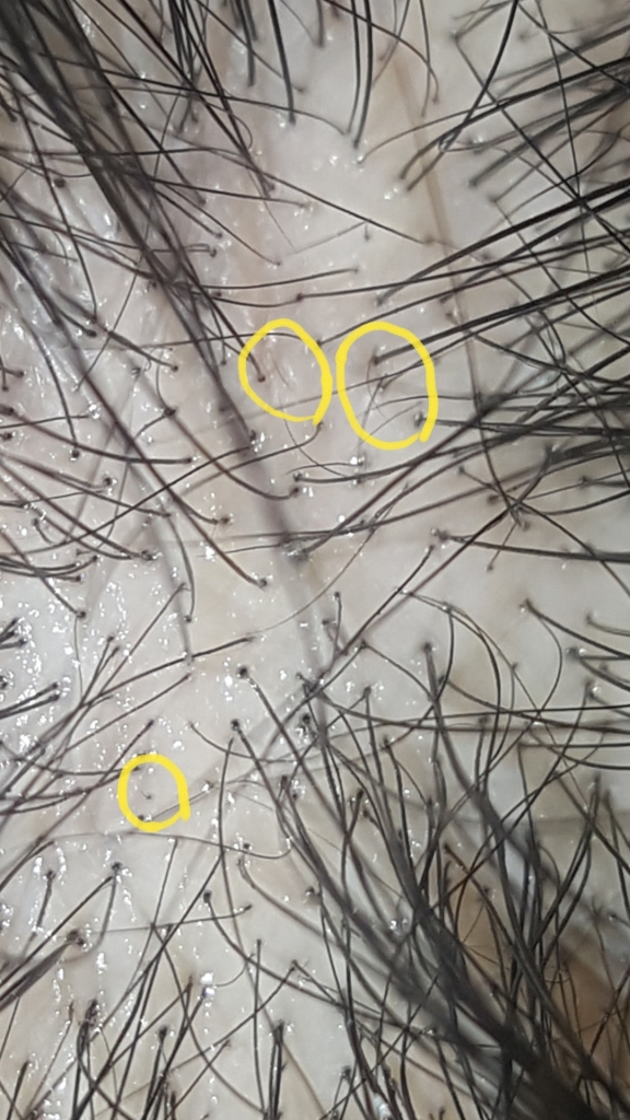 Screenshot_20190323-020128.jpg