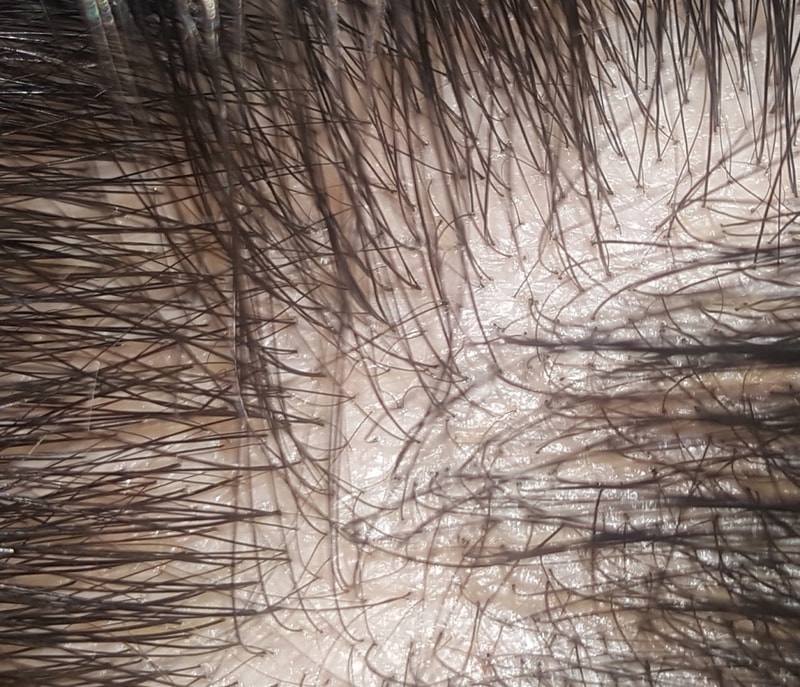 20190411_012206.jpg