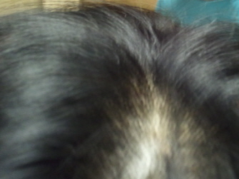 꾸미기_2012-05-15 13.21.56.jpg