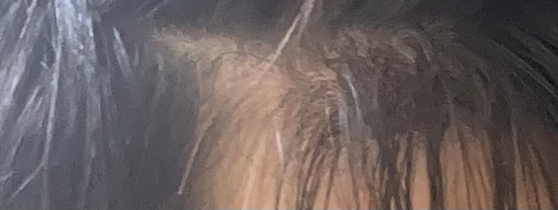 IMG_1446.jpeg