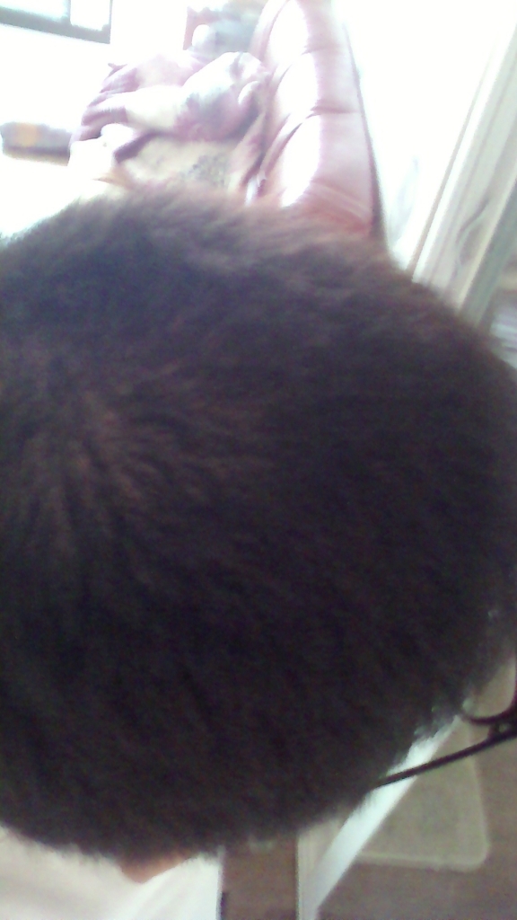 20140530_1503238.jpg