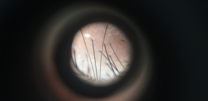 20190715_195828.jpg