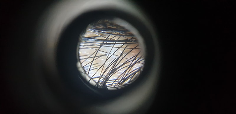 20190729_225538.jpg