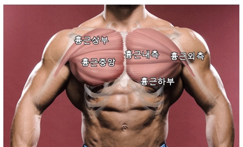 다운로드.jpg