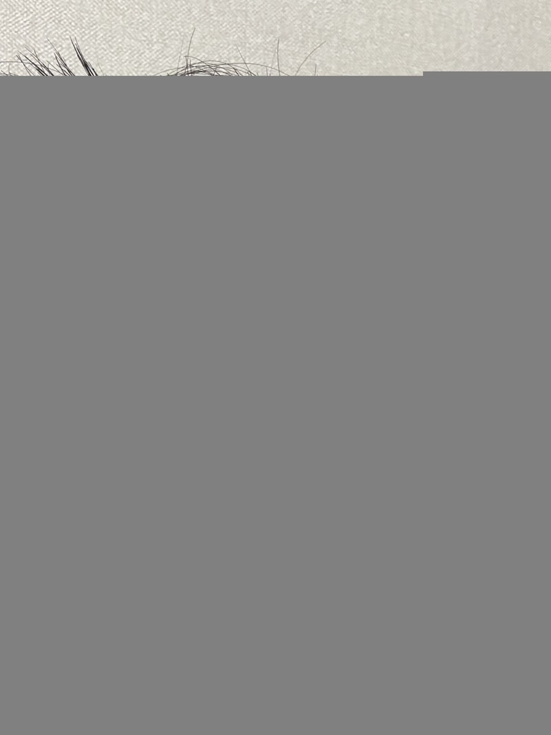 IMG_0549.jpeg