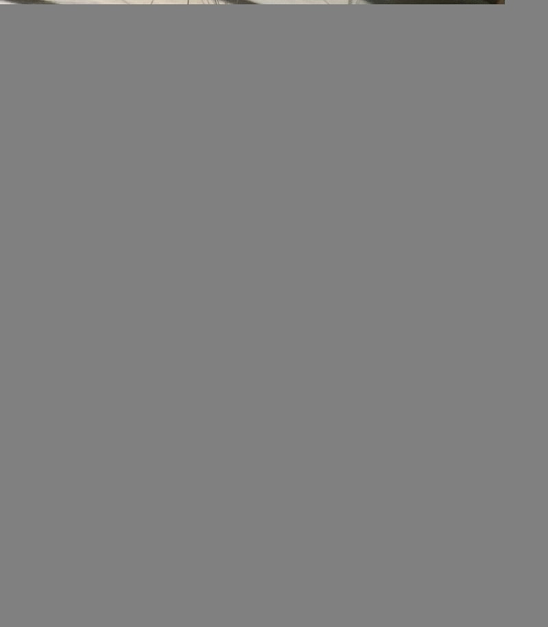IMG_0932.jpeg