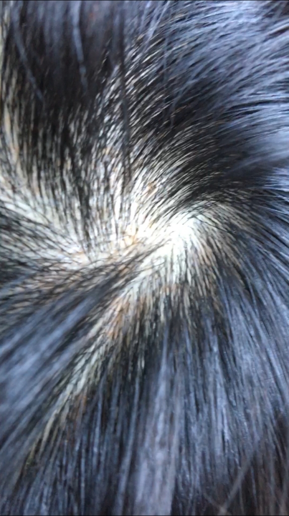 D447AA6E-FE4D-4464-8703-128007642270.png