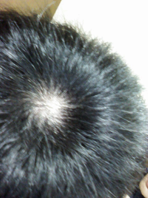 CAM00406.jpg