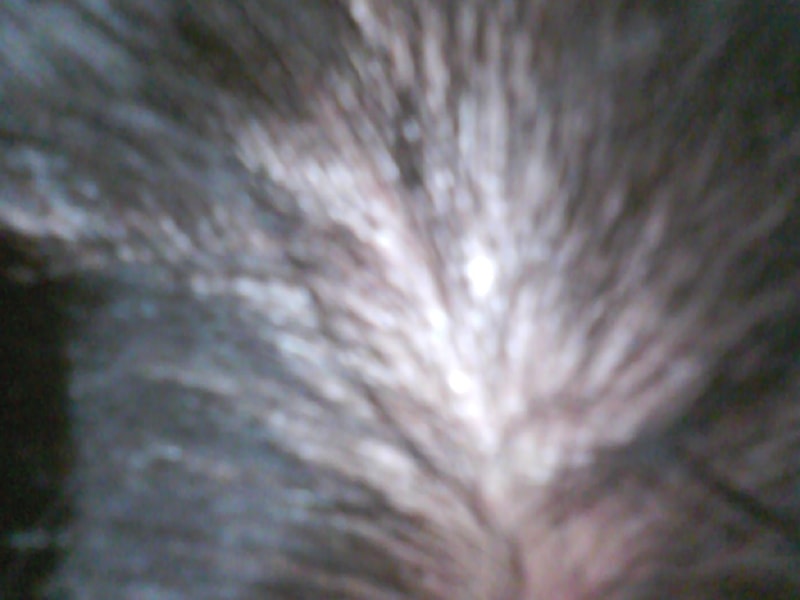 091220-0001.jpg
