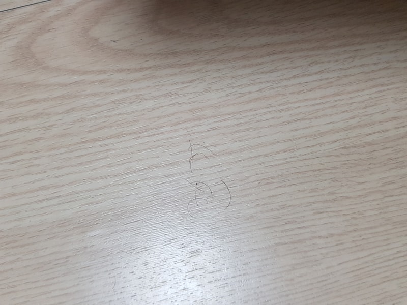 20181015_181817.jpg