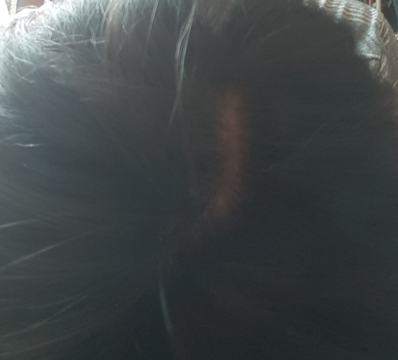 20180826_120432.jpg