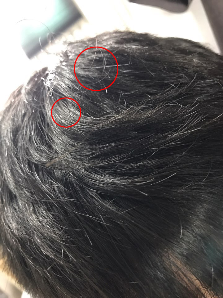 KakaoTalk_20170828_2316002312.jpg