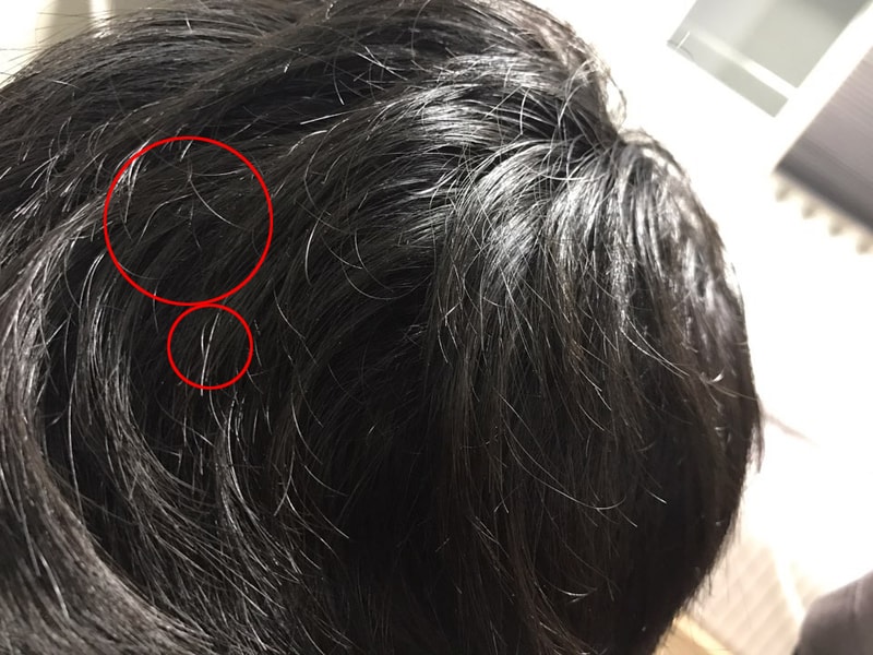 KakaoTalk_20170828_2315581362.jpg