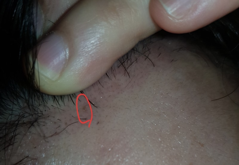 20190526_173339.jpg