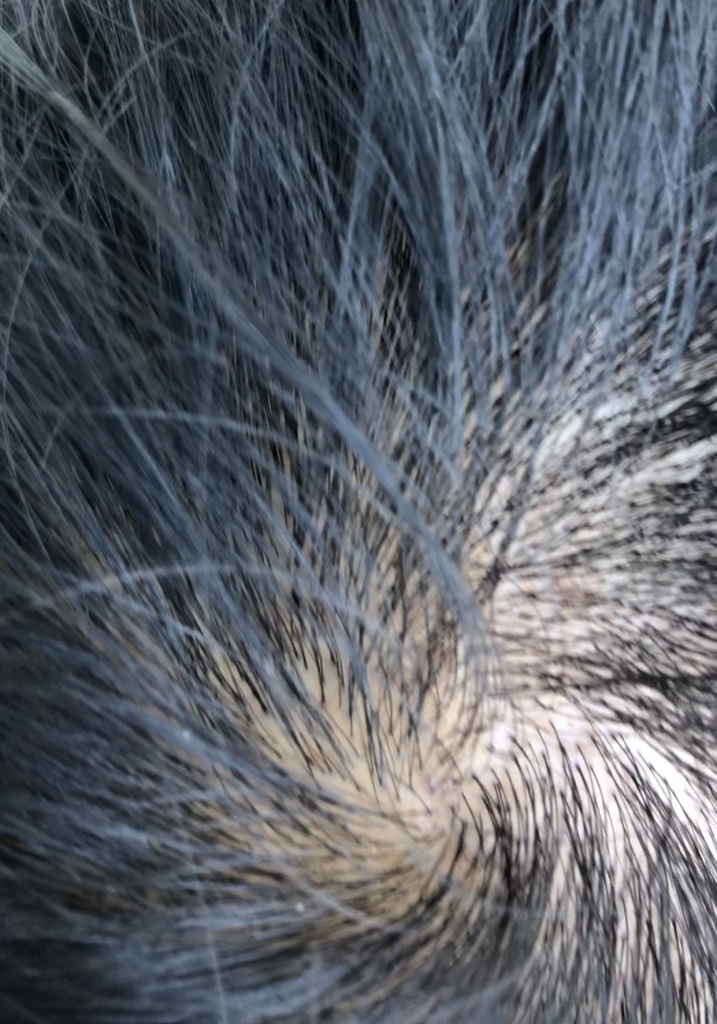 56104848-15F2-4726-B63F-1265A5EE1E03.jpeg