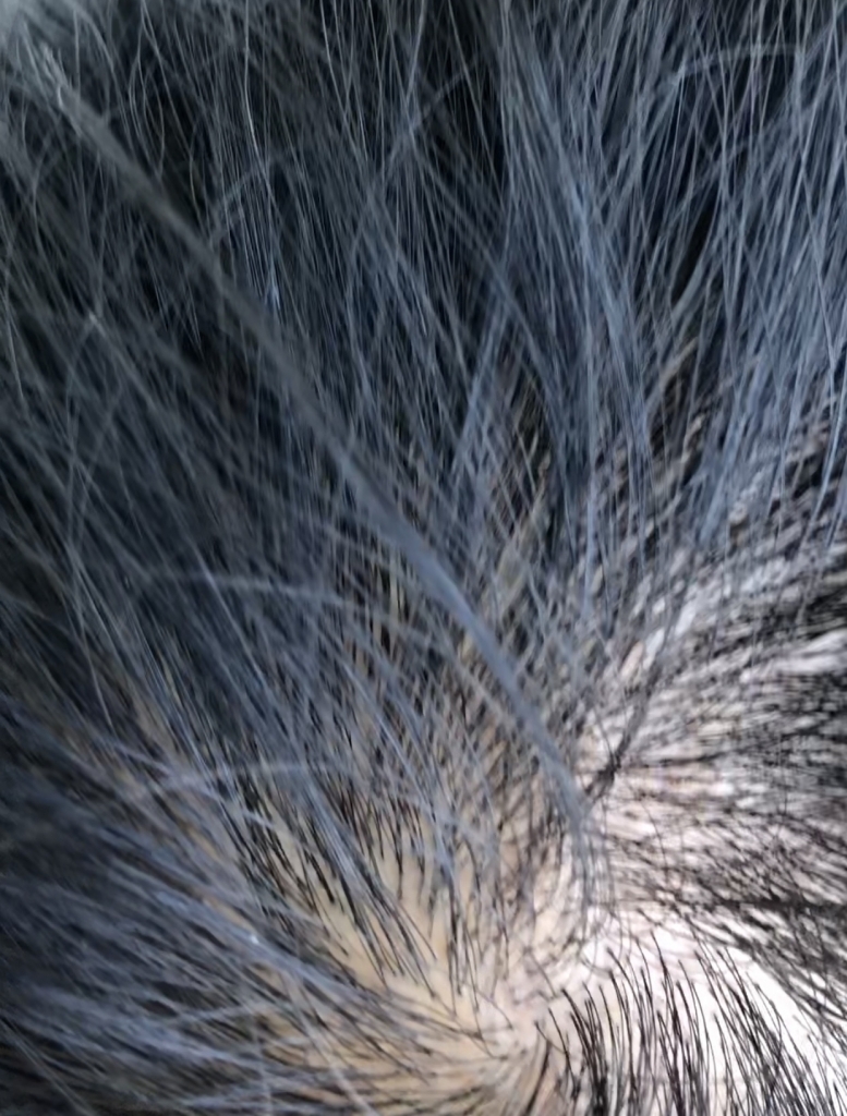 35FF171C-5818-4D9D-B967-923B9EE5B781.jpeg