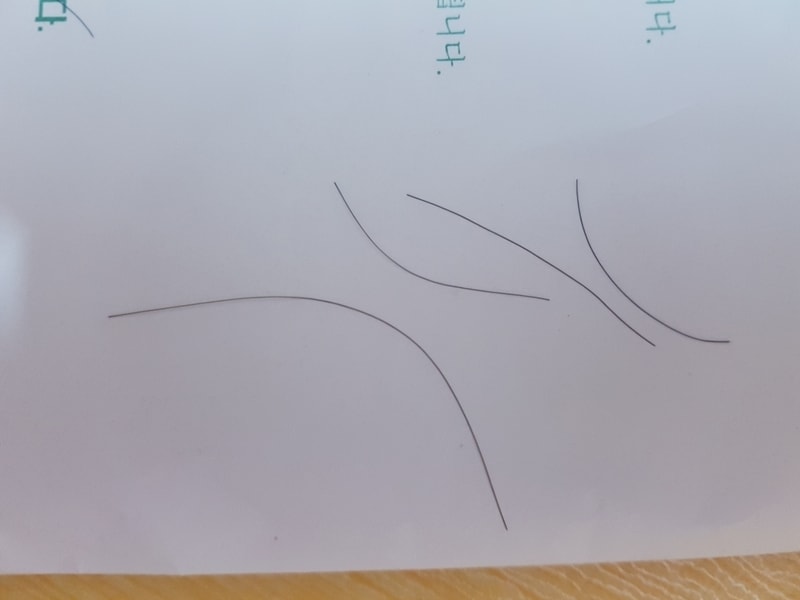 20190201_173808.jpg