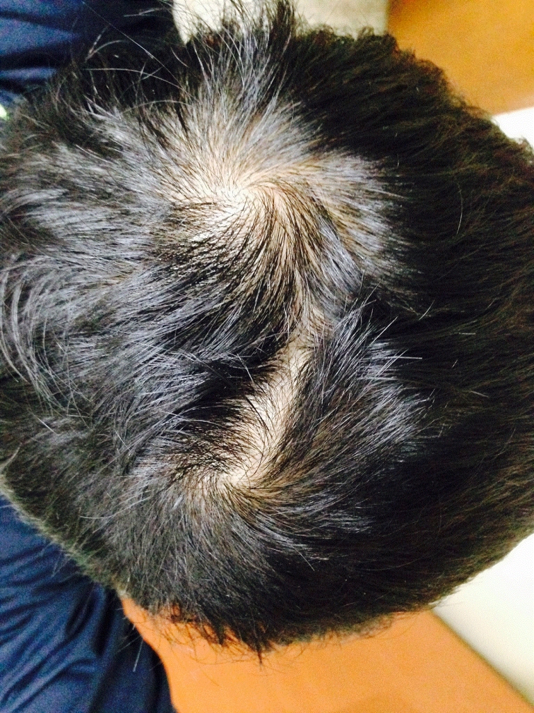 image11.gif