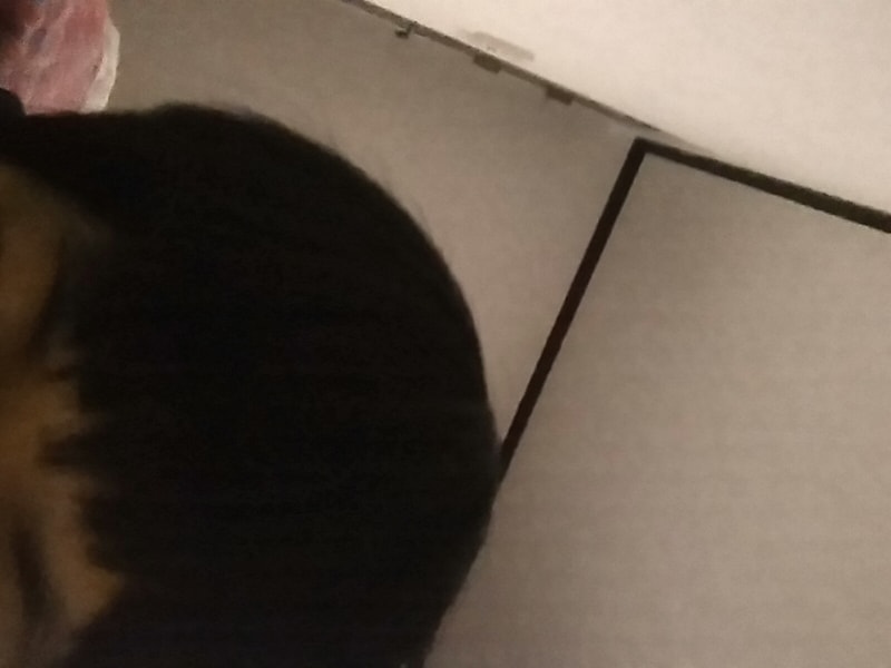 CAM00095.jpg