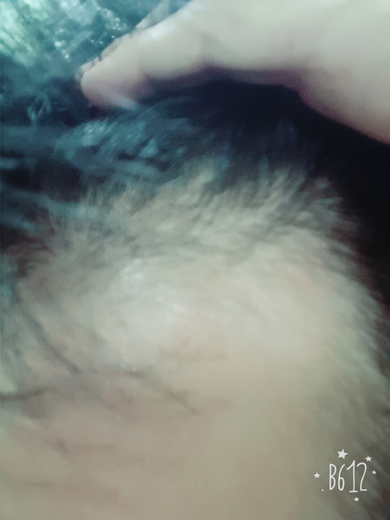 B612_20161226_192222.jpg