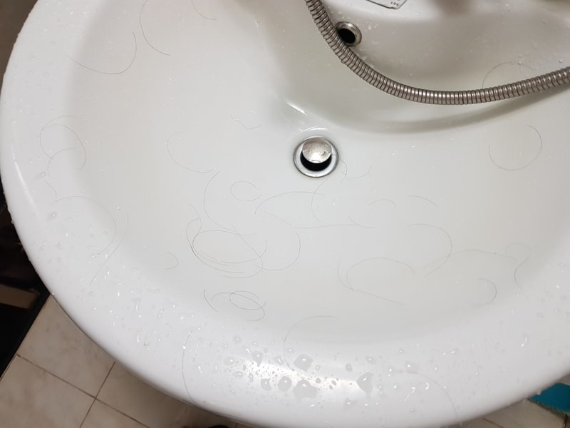 20180924_065737.jpg