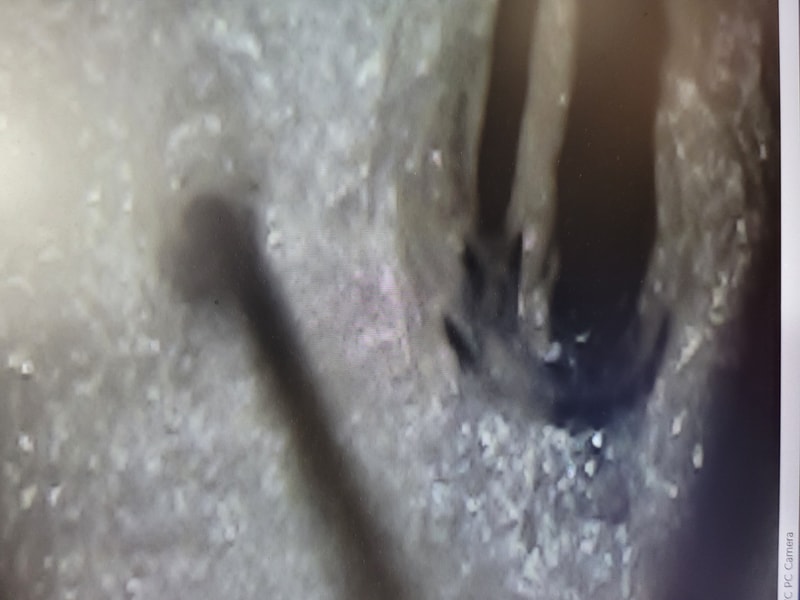 20210928_184444.jpg
