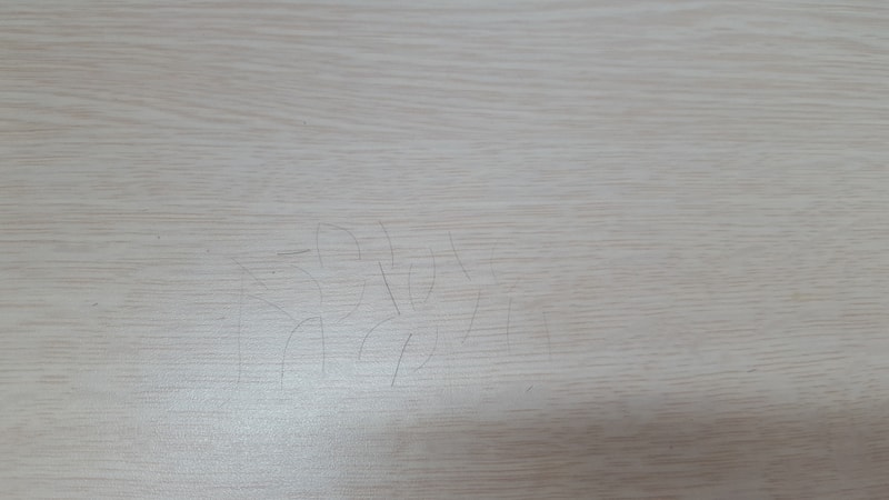 20190609_111014.jpg